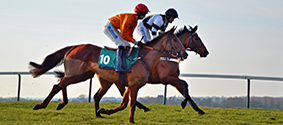 two horses racing in event